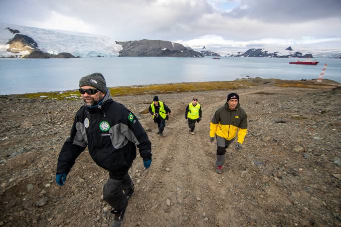 Fungo da Antártica pode facilitar reaproveitamento de rejeito de mineração