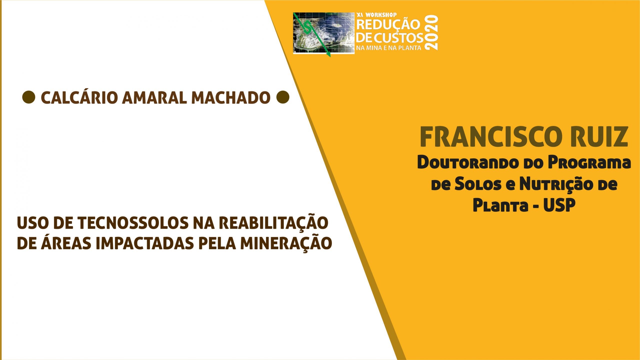 Uso de Tecnossolos na reabilitação de áreas impactadas pela mineração