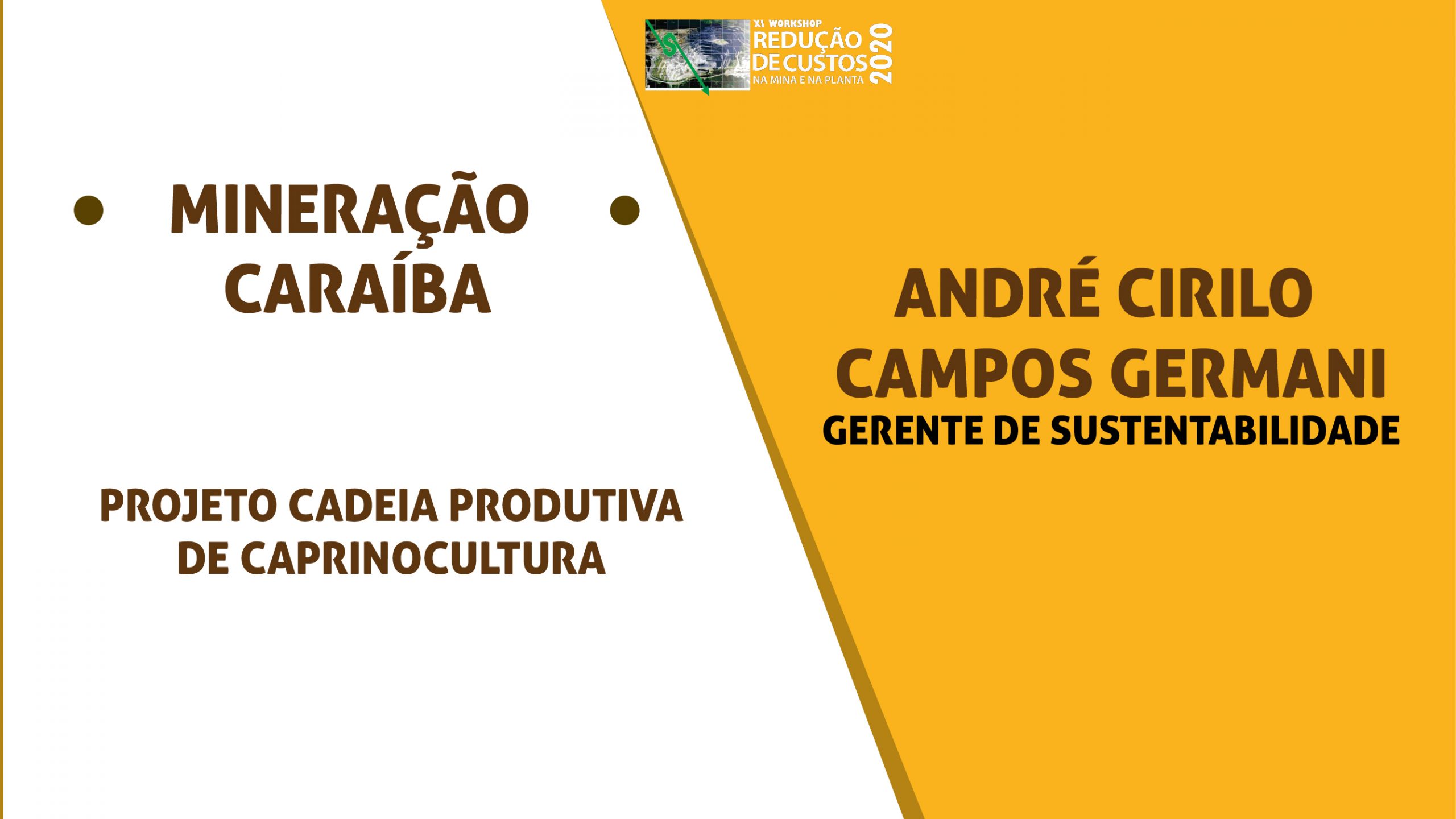 Projeto cadeia produtiva de Caprinocultura