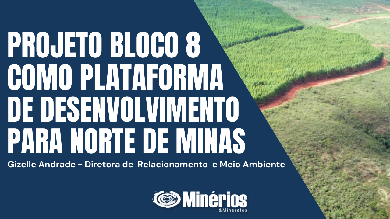 Projeto Bloco 8 como plataforma de desenvolvimento para o Norte de Minas