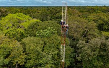 Torre de Fluxo do Mamirauá, estrutura de 48 metros de altura para monitoramento de gases de efeito estufa na floresta amazônica